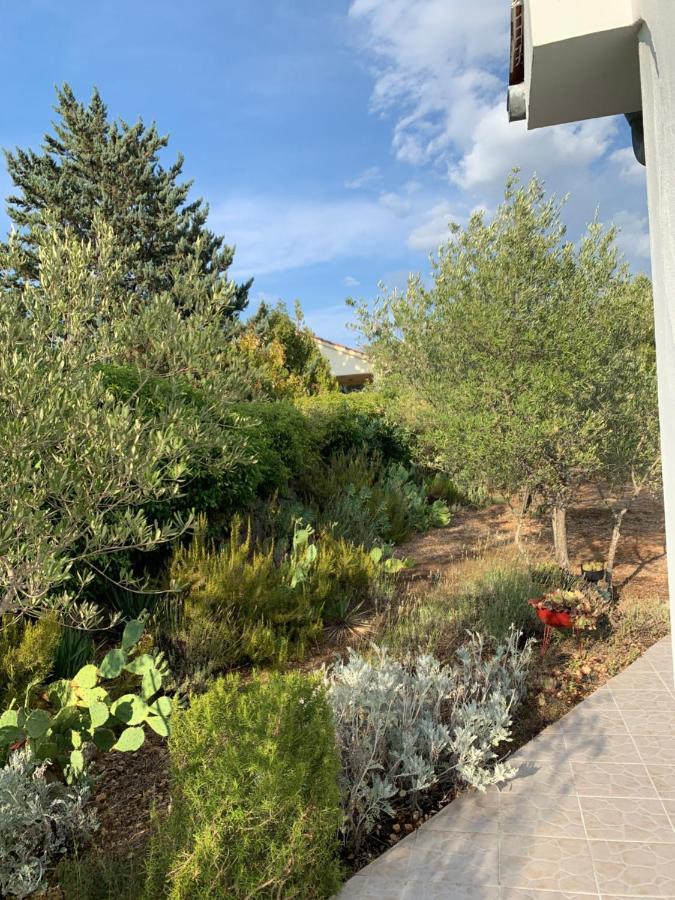 Ruza Apartman *