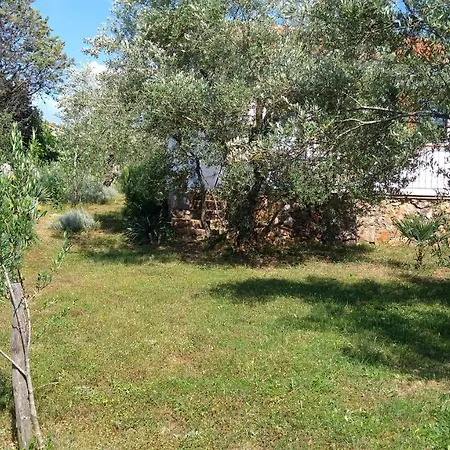 Apartman Ruza Brzac Exterior photo