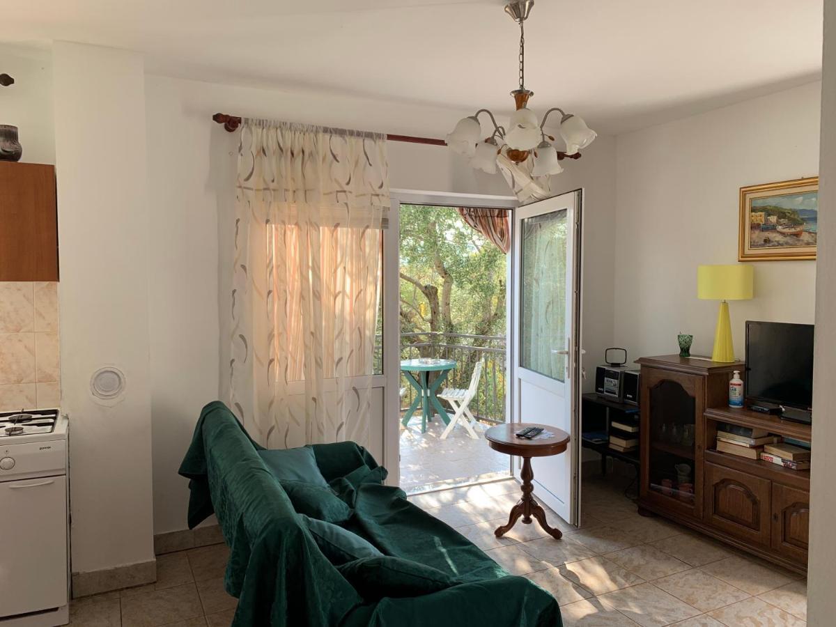 Apartment Ruza