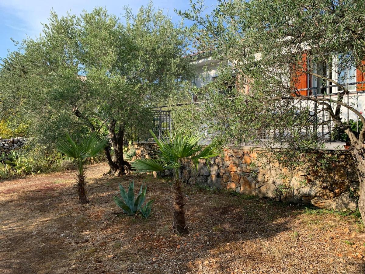 Ruza Apartment Brzac